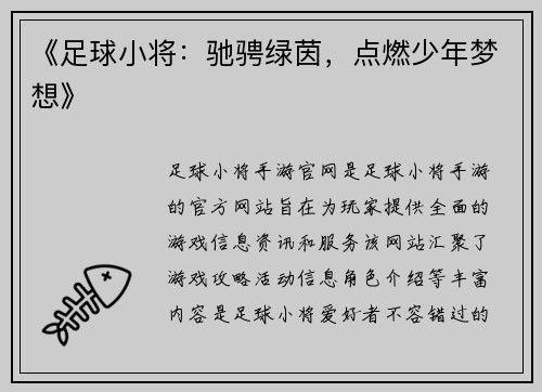 《足球小将：驰骋绿茵，点燃少年梦想》